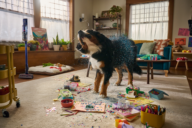 World Animal Day: How to Keep a Pet-Friendly Home Clean