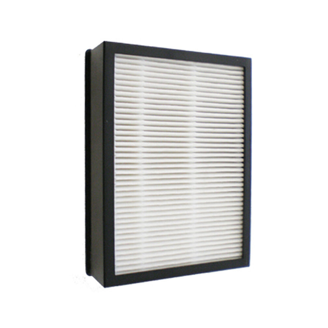 Post Motor Filter (2032172)