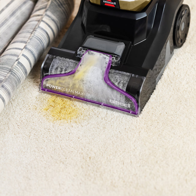 PowerClean Max