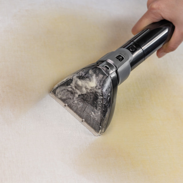 PowerClean Max