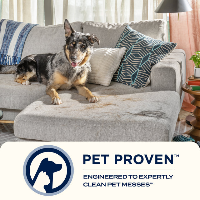 PowerClean FurFinder™ 200W